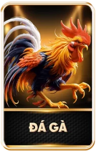 đá gà luck8